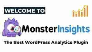 MonsterInsights Review